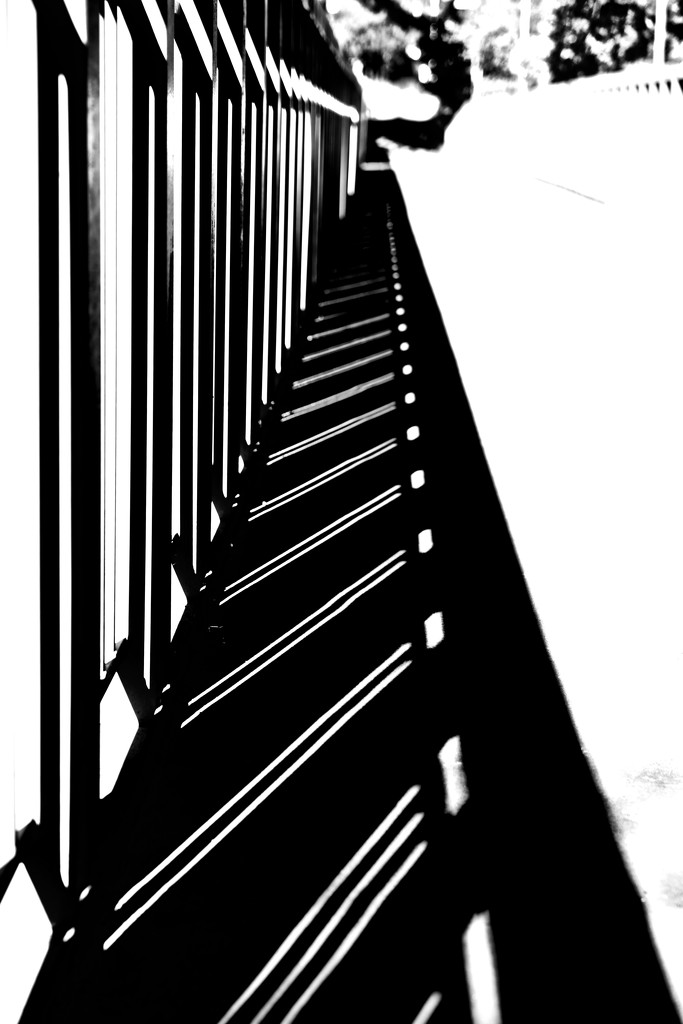 Lines and Shadows by jyokota