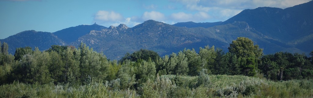 The Albères and the Tower of Massane by laroque