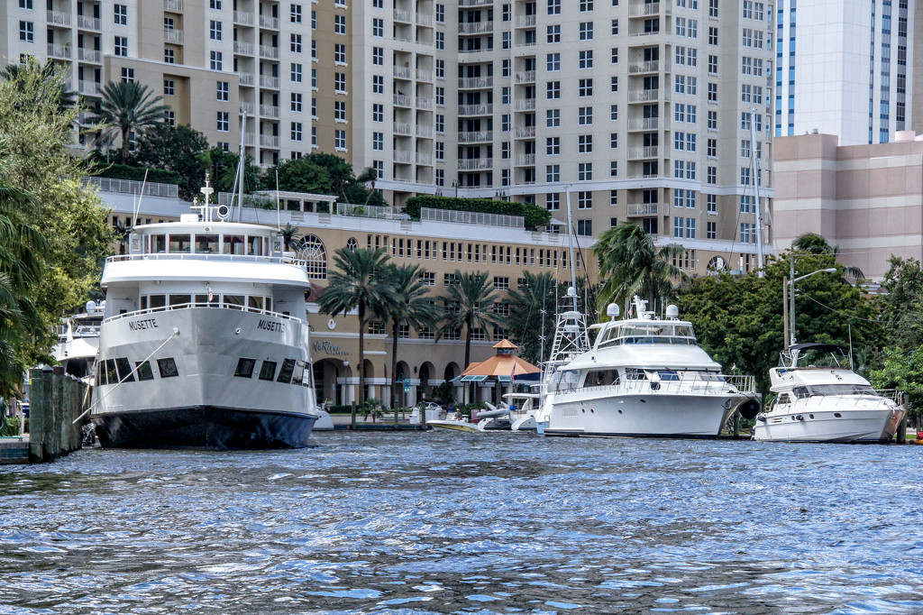 Which boat is just right for you? by danette