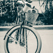 photowalk bicycly by jackies365
