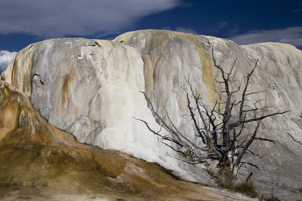 Mammoth Hot Springs at Yellowstone  by pdulis