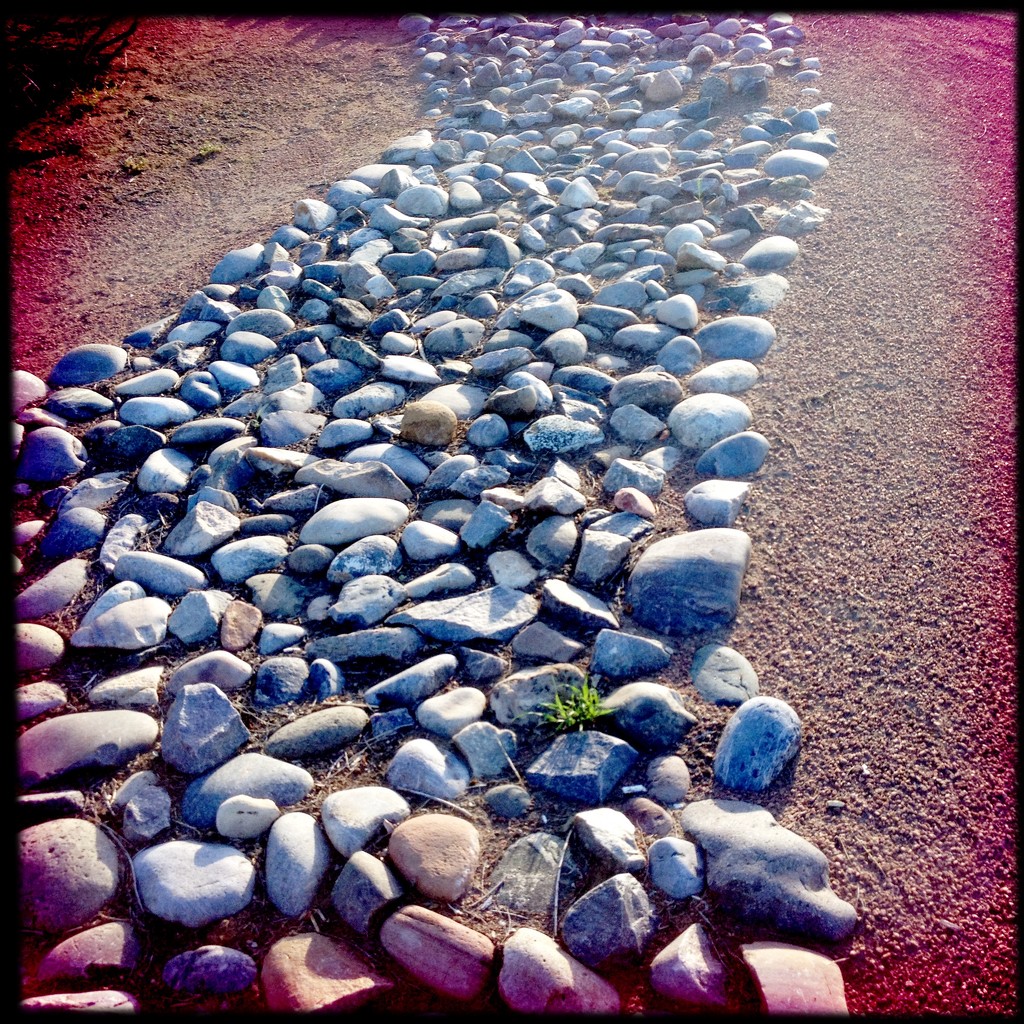Stone pathway by jeffjones