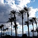 29 Palms by redy4et