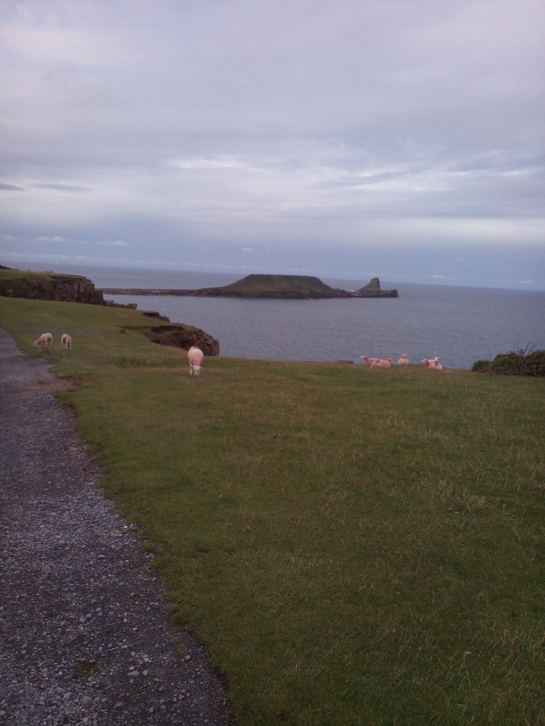 Worms head by jennymdennis