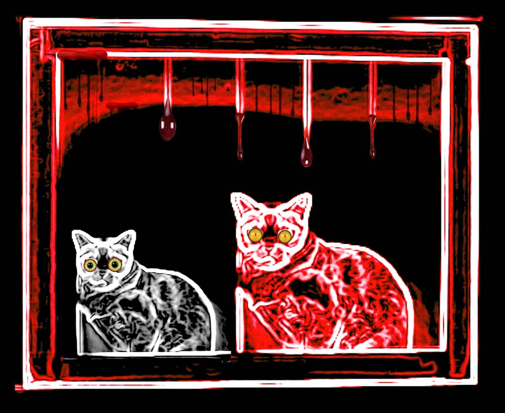 Neon Zombie Kitties! Not my picture, just me twisted edit! by homeschoolmom