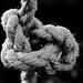 Any Decent Shots Today Jane? I'm A Frayed Knot .... by motherjane