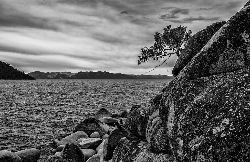 On the Edge at Secret Cove b and w by jgpittenger