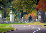 7th Oct 2015 - Bellefountaine Cemetery Fall Colors