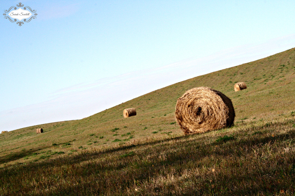 Hay Bale by sarahlh