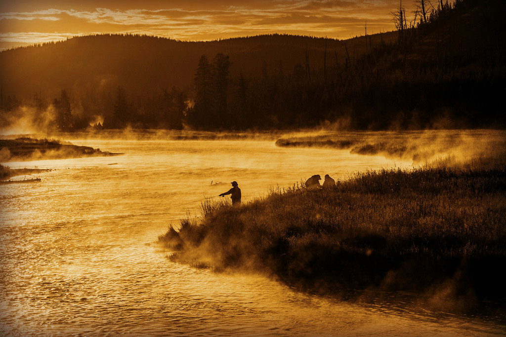 Madison River Fly Fishing by pdulis