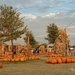 Hall's Pumpkin Farm by lynne5477
