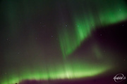 8th Oct 2015 -  Aurora borealis