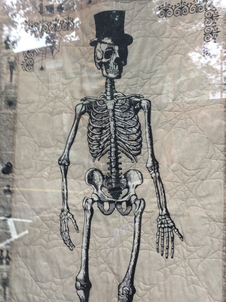 Skeleton by nanderson