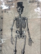 1st Oct 2015 - Skeleton