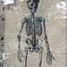 Skeleton by nanderson