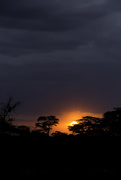 8th Oct 2015 - Serengeti Sunset