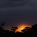 Serengeti Sunset by leonbuys83
