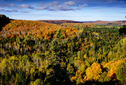 8th Oct 2015 - Fall Colors