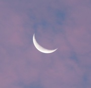8th Oct 2015 - Cheshire Moon in Cotton Candy