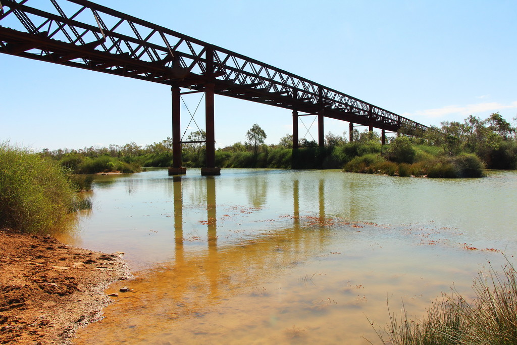 Algebuckina Bridge on Neales River by terryliv