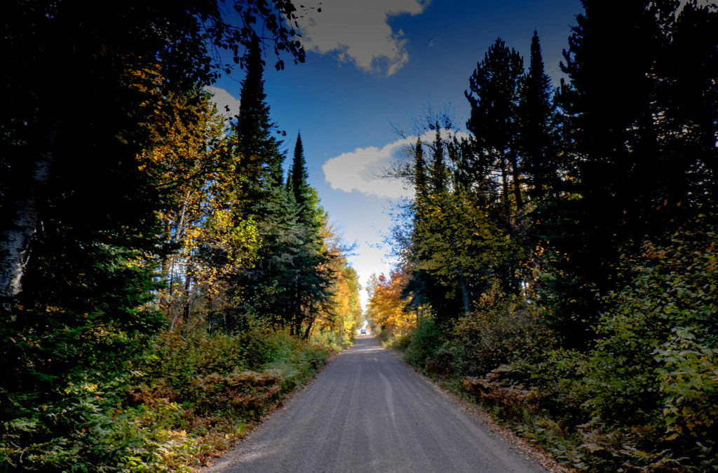North Country Road by tosee