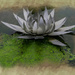 276 - Metal Water Lilly by bob65