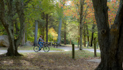 5th Oct 2015 - Pedalling through the park