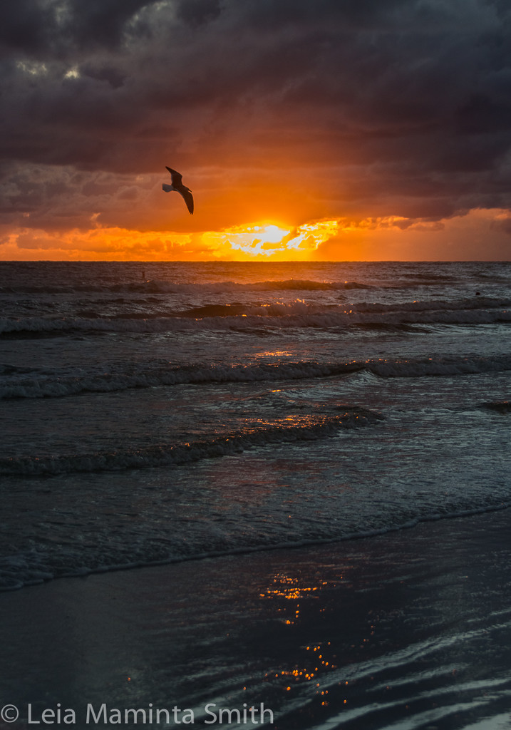 Sunset at Siesta Beach, Sarasota FL by princessleia