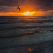Sunset at Siesta Beach, Sarasota FL by princessleia
