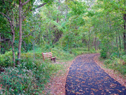 9th Oct 2015 - Watershed Bench & Path