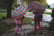 9th Oct 2015 - Umbrellas