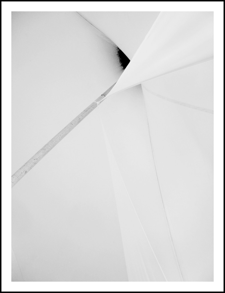 Composition in White 1 by mcsiegle