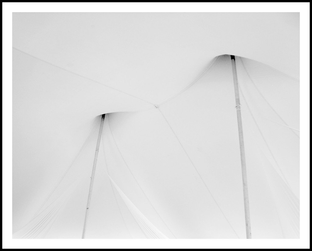 Composition in White 2 by mcsiegle