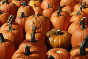10th Oct 2015 - It's pumpkin time