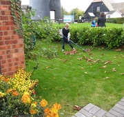 10th Oct 2015 - Raking up the Leaves