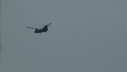 9th Oct 2015 - Chinook helicopter. 