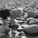 Down amongs the pebbles.... by anne2013