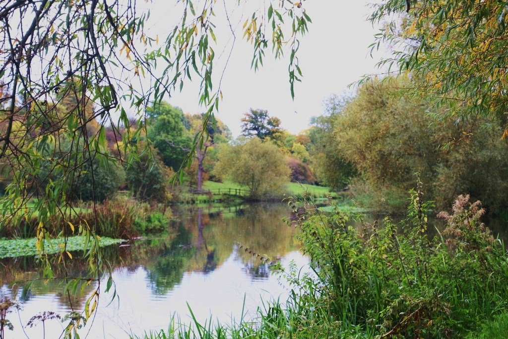 Autumn on the River Soar by oldjosh