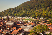 6th Oct 2015 - Heidelberg #118