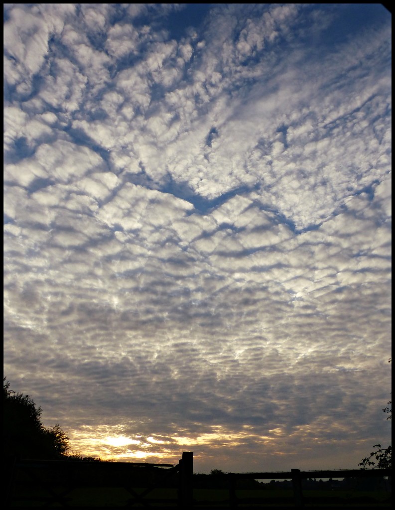 Altocumulus clouds. by jokristina