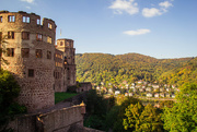 7th Oct 2015 - castle above Heidelberg #119