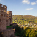 castle above Heidelberg #119 by ricaa