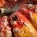 Warty Pumpkin  by epcello