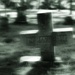 Western cemetery by dianen
