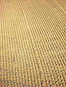 7th Sep 2015 - Pattern on the sand