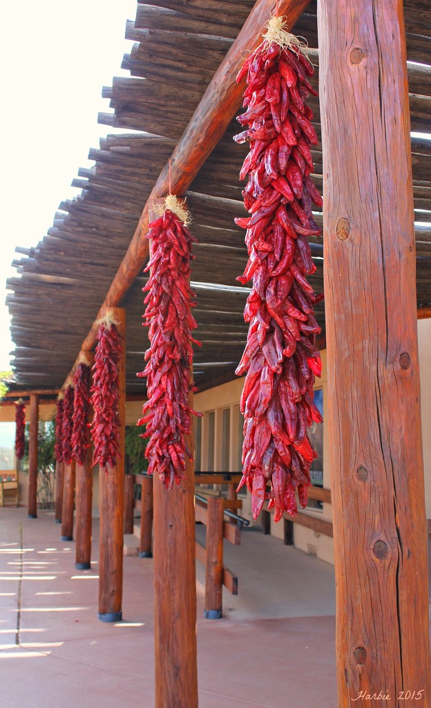 Chili Ristras by harbie