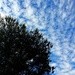Great Sky by mariaostrowski