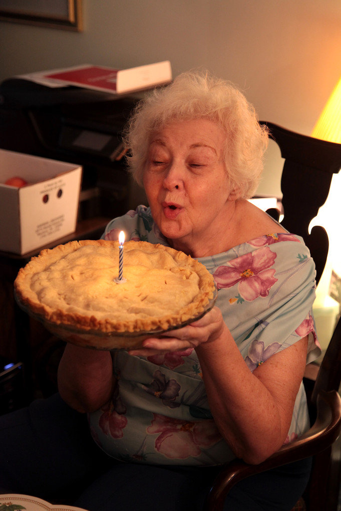 Grandma's Birthday! by steelcityfox