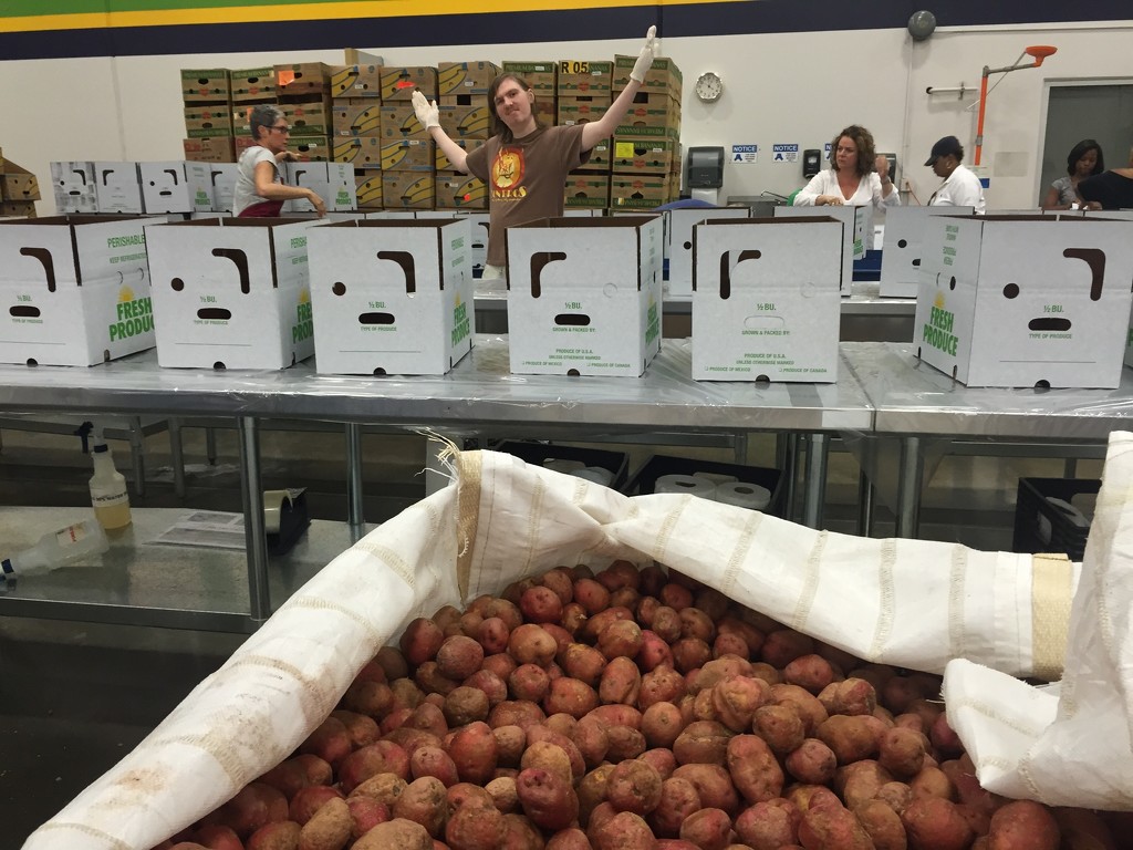 Potato day at the Food Bank by margonaut