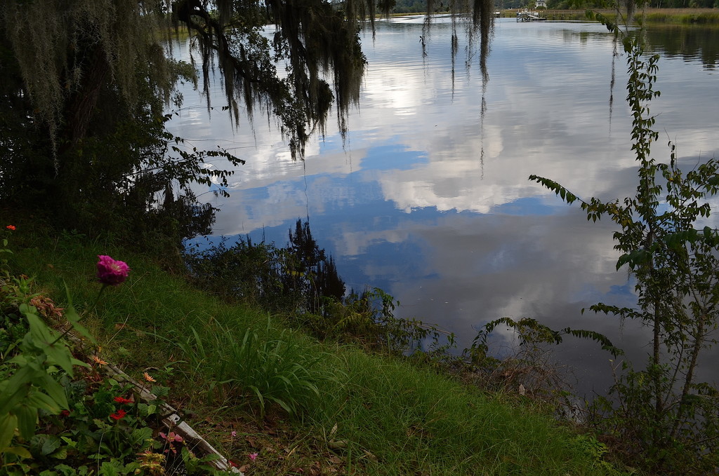Clouds and reflection along the banks of the Ashley River, Magnolia Gardens, Charleston, SC by congaree